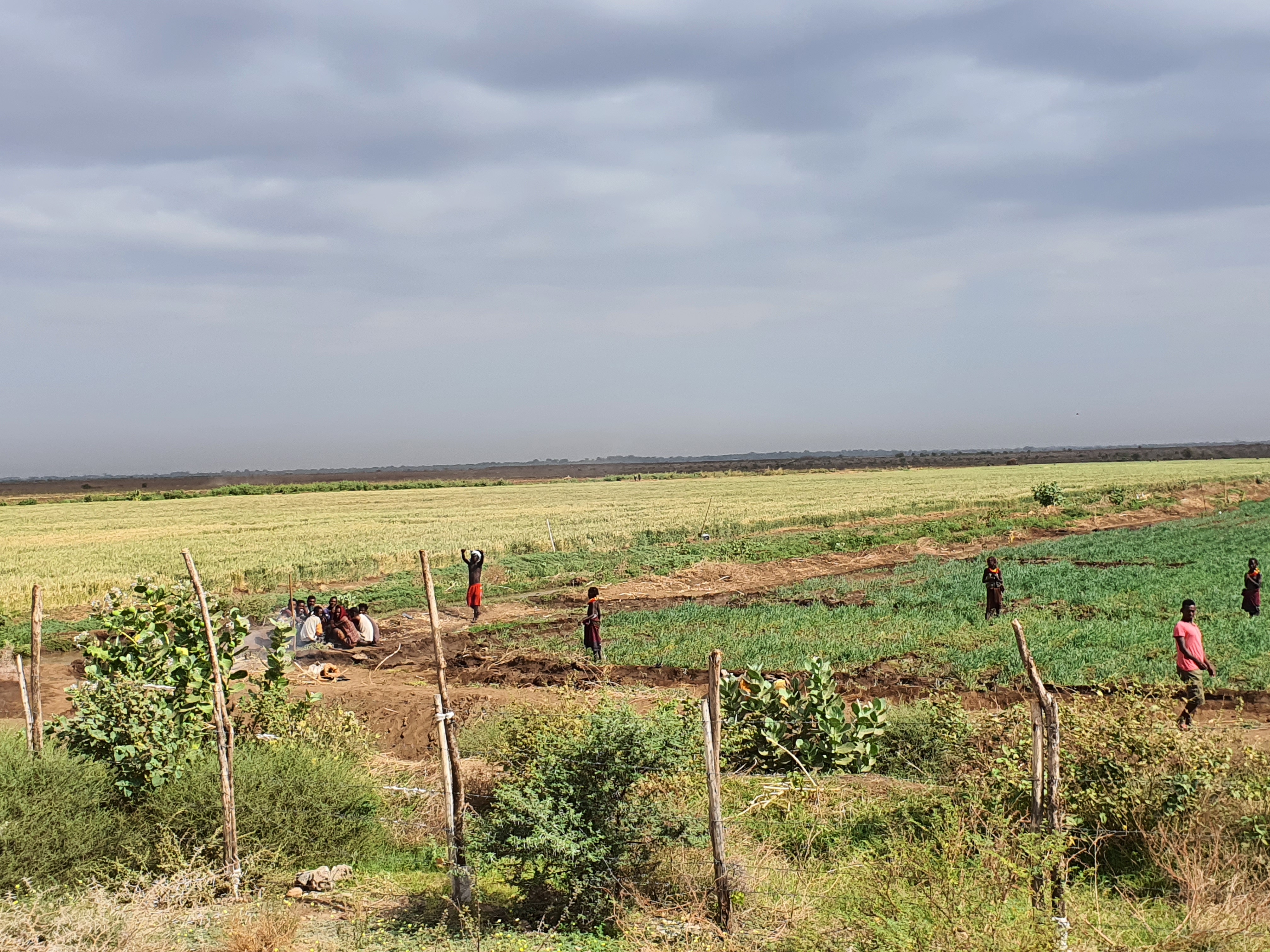 Platform digital en Éthiopie